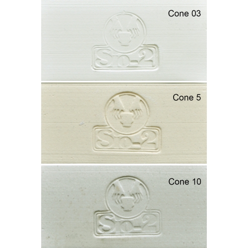 SIO-2® PRAI 3D - White Stoneware Clay for 3D Printing, 11.0 lb